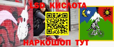 мдпв Гусев