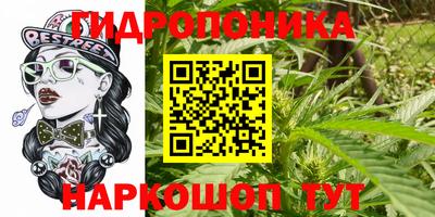 каннабис Гусь-Хрустальный