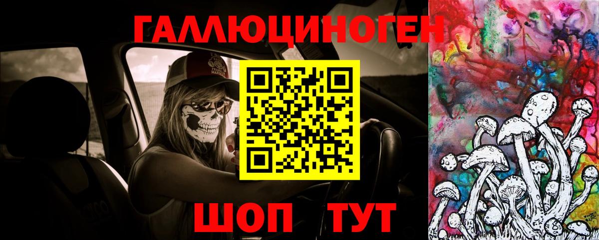 Кинешма  Галлюциногенные грибы Psilocybine cubensis  Вход с VPN 
